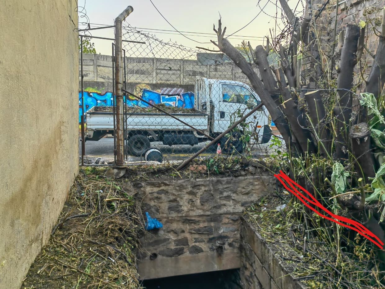 Project execution 50