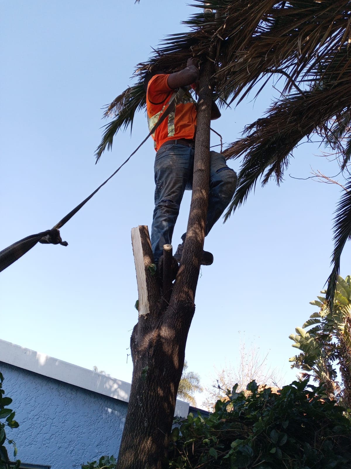 Project execution 51