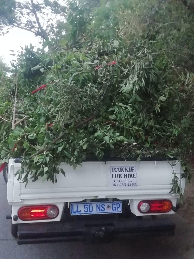 Project execution 52