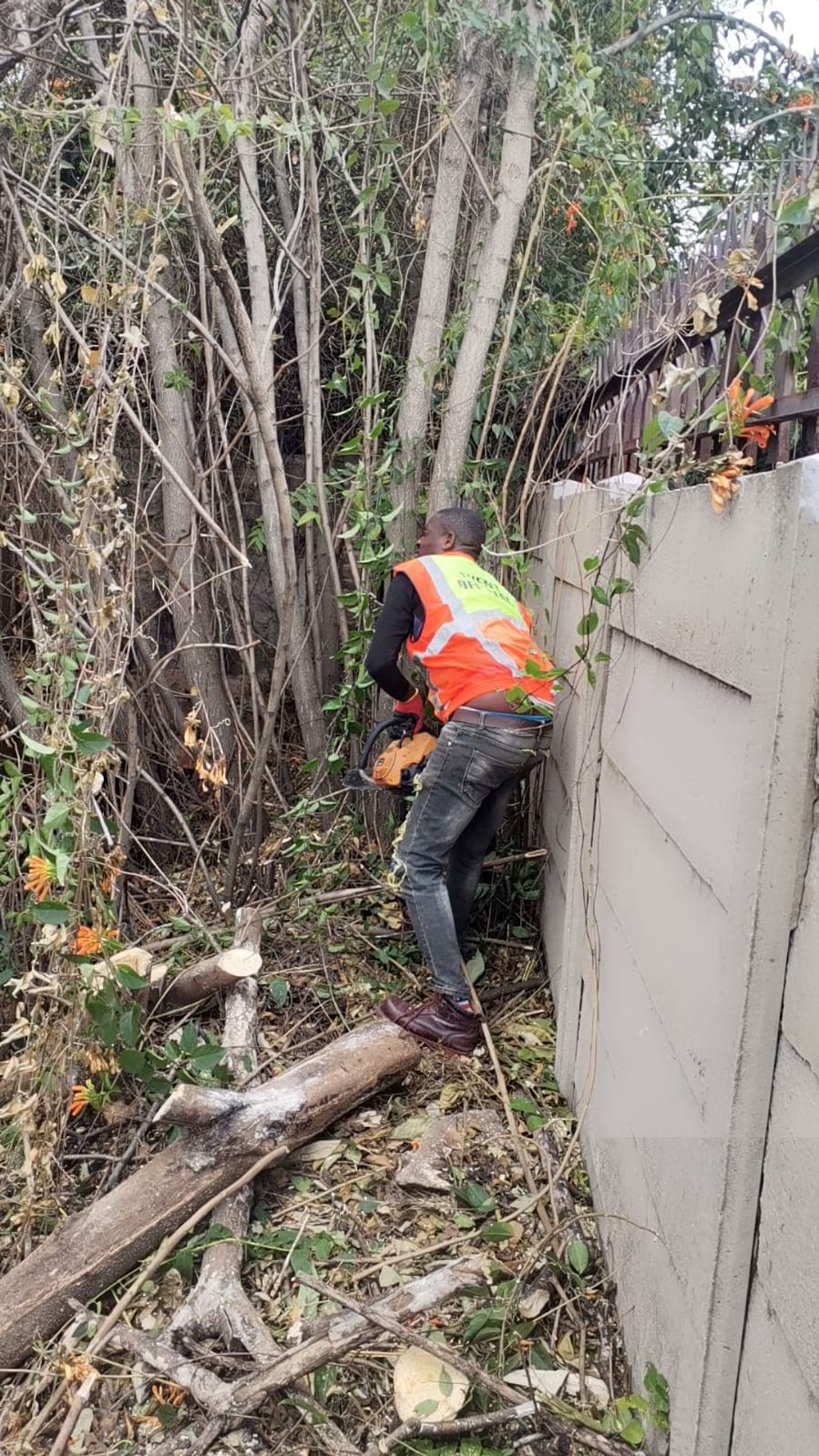 Project execution 53