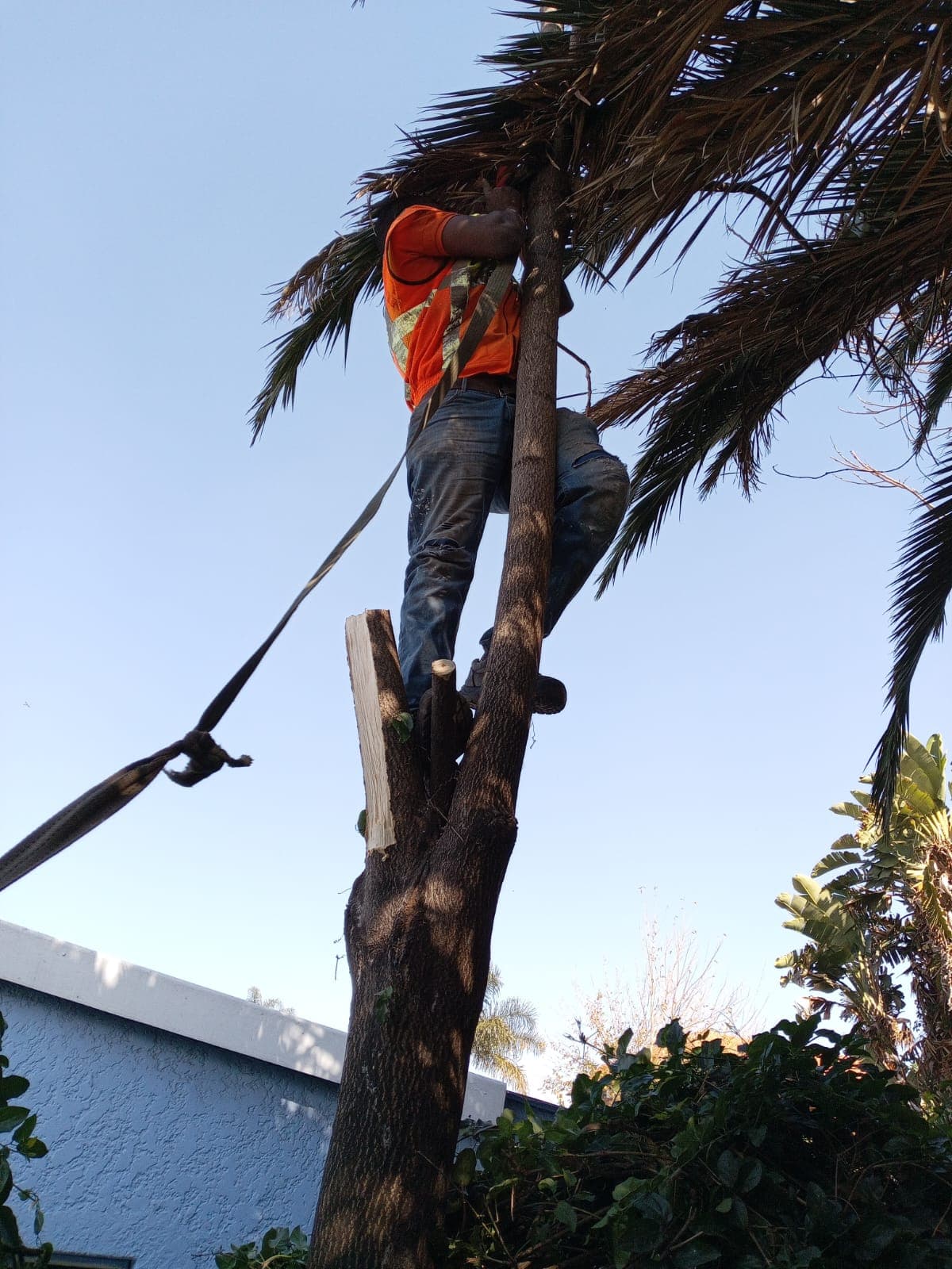 Project execution 55