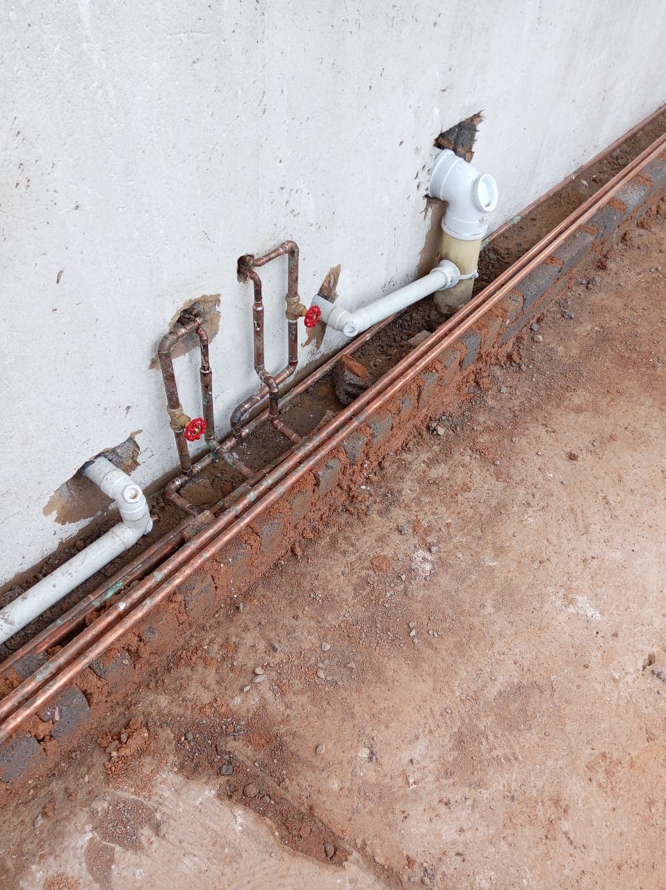 Project execution 43