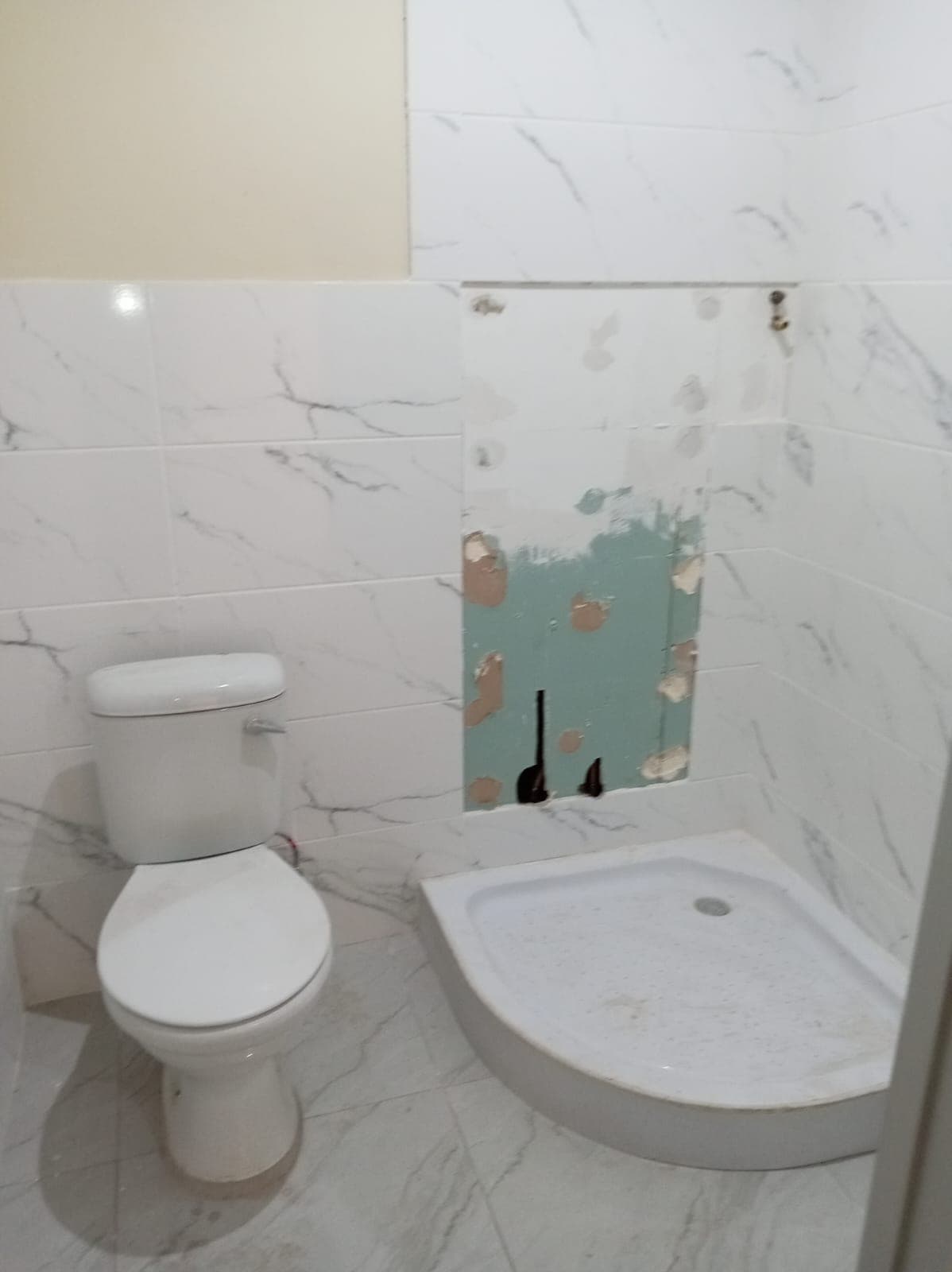 Project execution 35